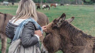 Visite du refuge de Darwyn, la SPA des chevaux (18 mai 2019)
